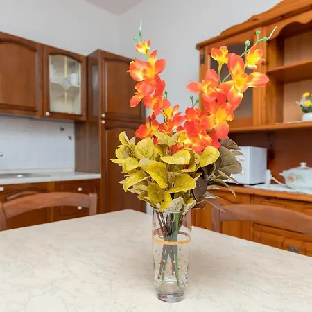 Holiday home Casa Vacanza Susy La Caletta